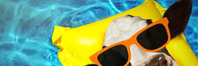 CFAPrattville's profile banner image