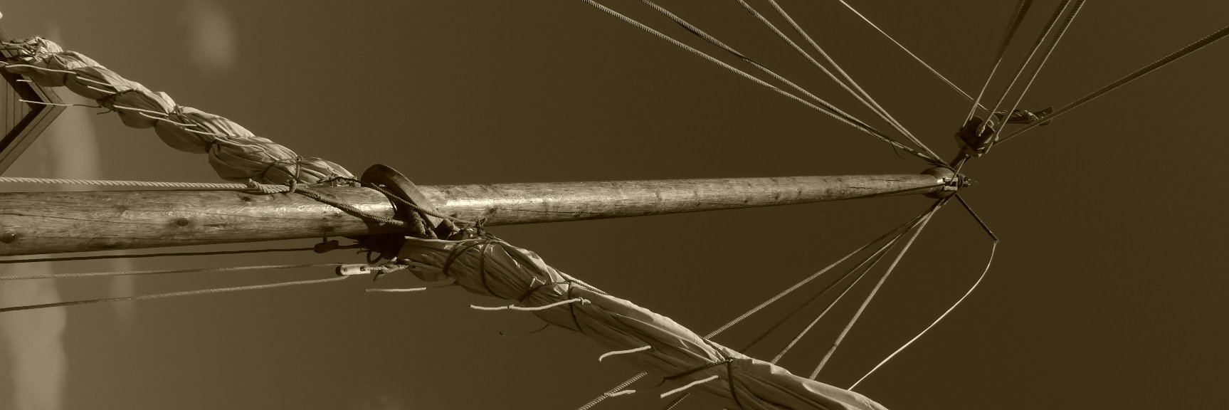 Daniel_GriDa's profile banner image