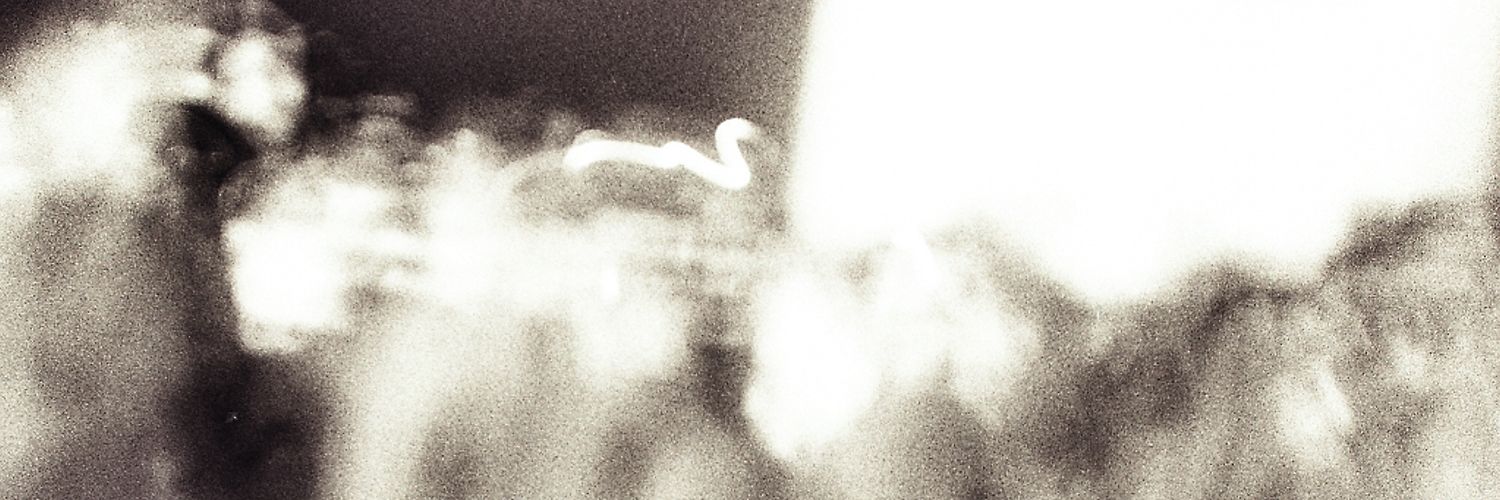 Samuele Pollini banner