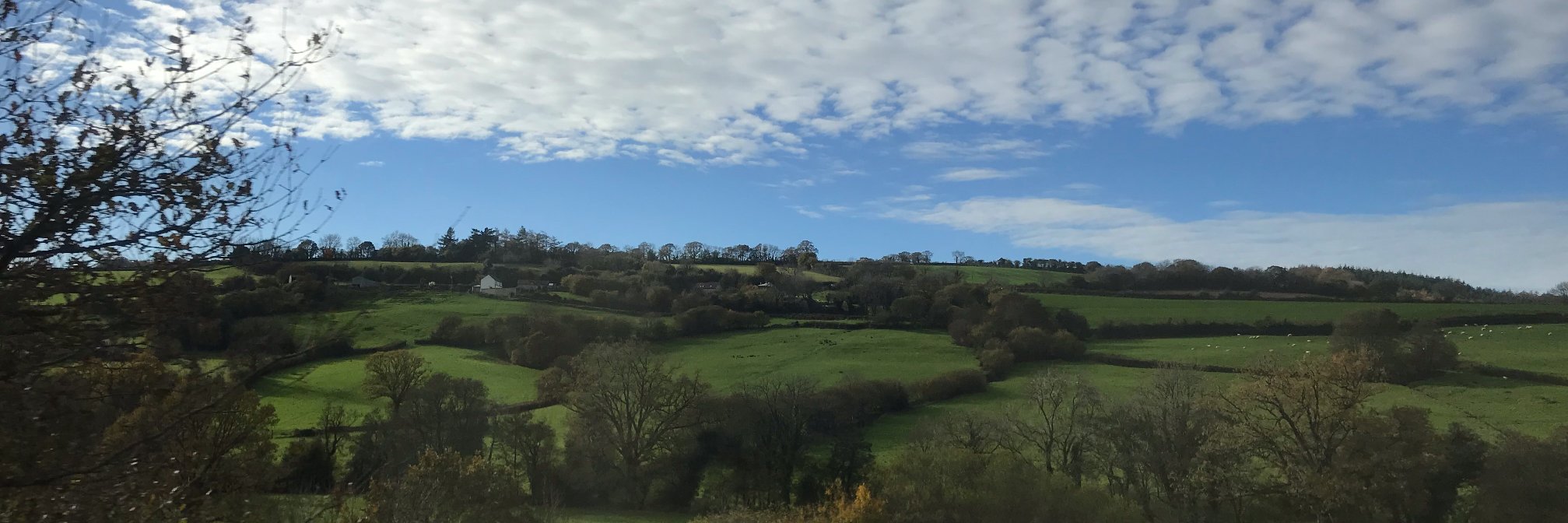 Ilke Inceoglu banner