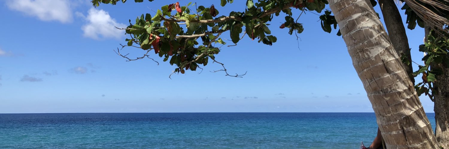 marielacasellas's profile banner image