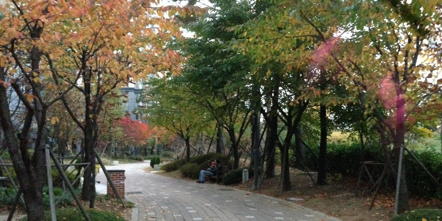 Carolina Fuentes banner