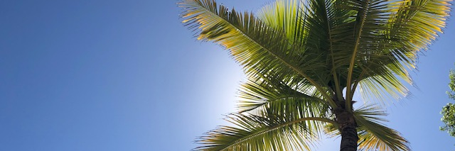 Rob Mallia banner