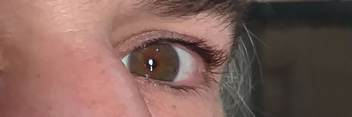 floki el navegante🇦🇷 banner