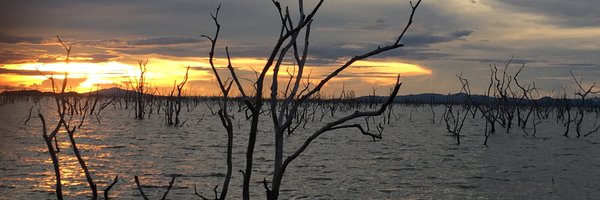 mevansCBC Profile Banner