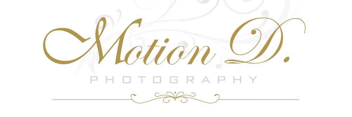 _MotionD's profile banner image