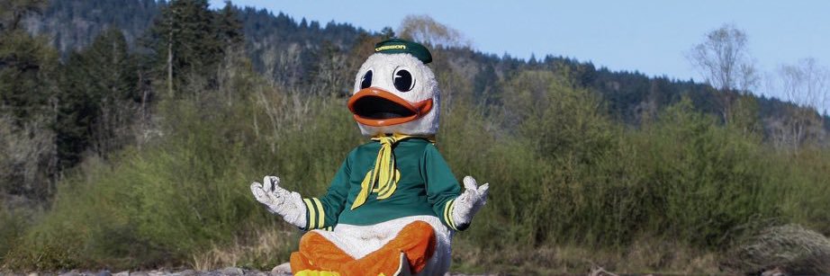 RodongDonguin22's profile banner image