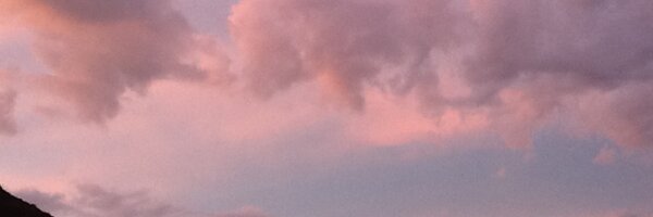 NancyWhite Profile Banner