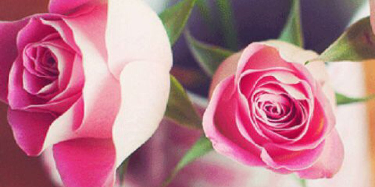 fyaa123's profile banner image