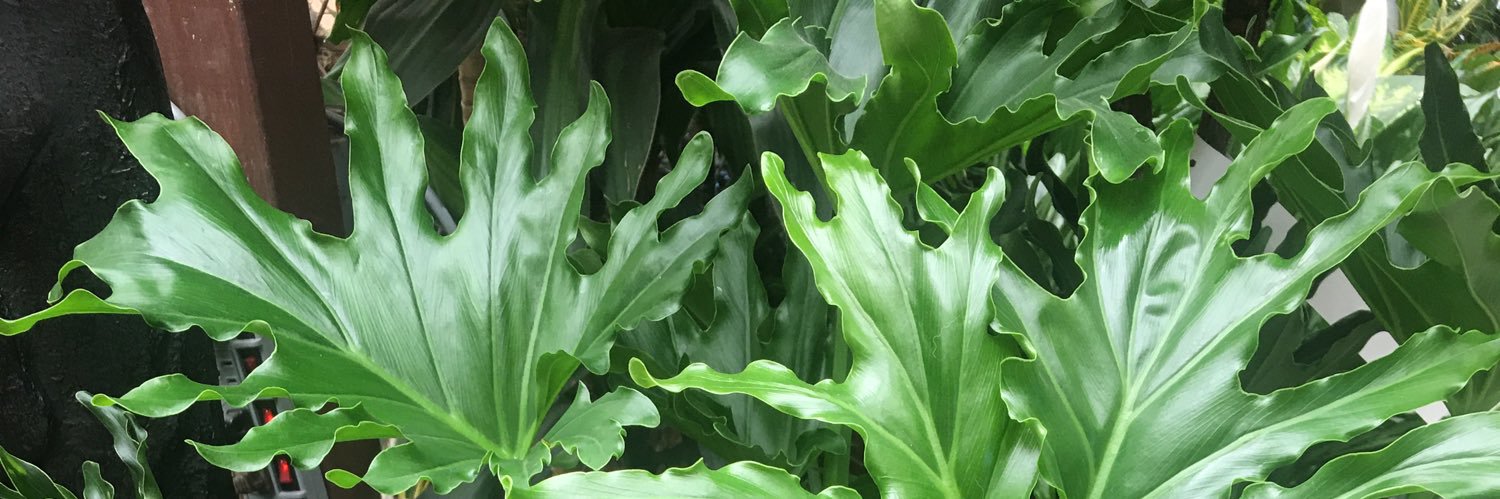 k_bee5's profile banner image