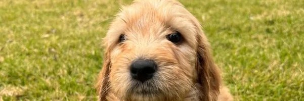 chrisbeckman's profile banner image