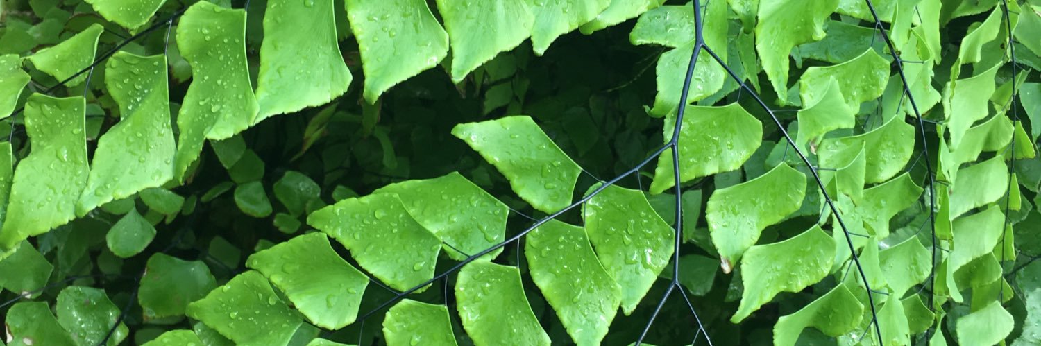 DanReckons's profile banner image