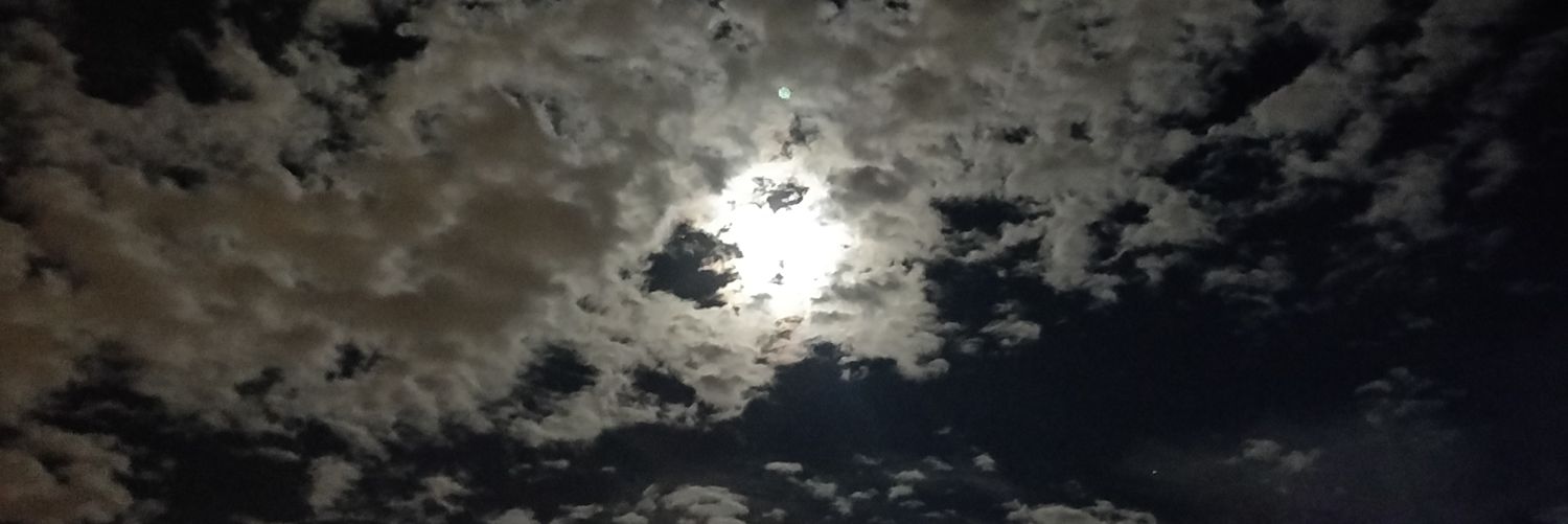 JenniferRTowry's profile banner image