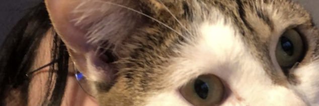Fouws's profile banner image