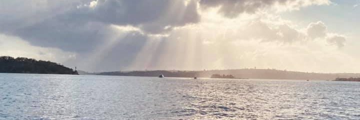 bennylevi's profile banner image