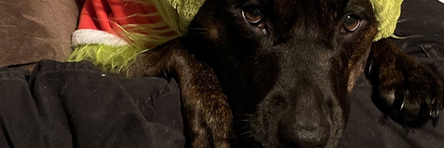 lauraMBO3's profile banner image