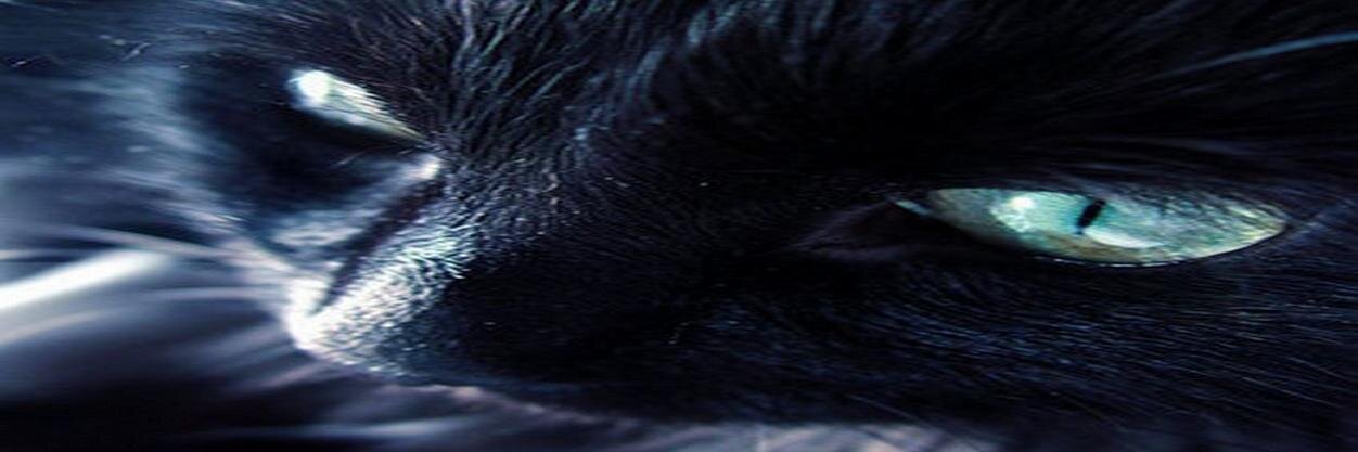 nogrekuli's profile banner image