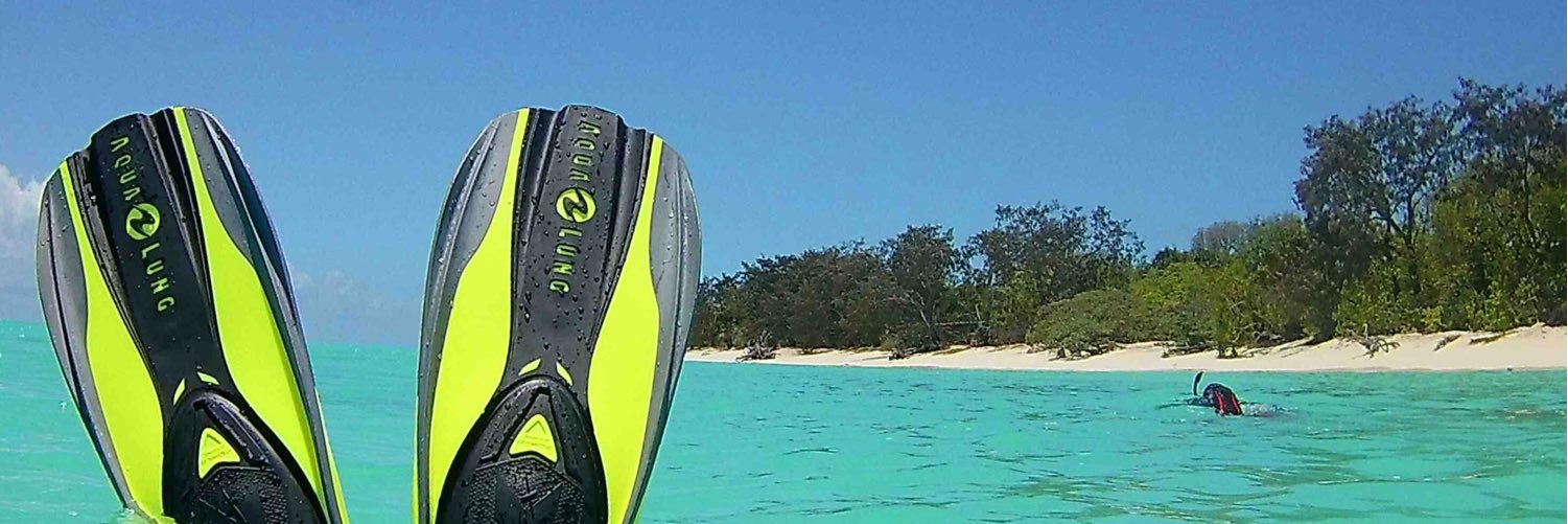 _livetodive_'s profile banner image