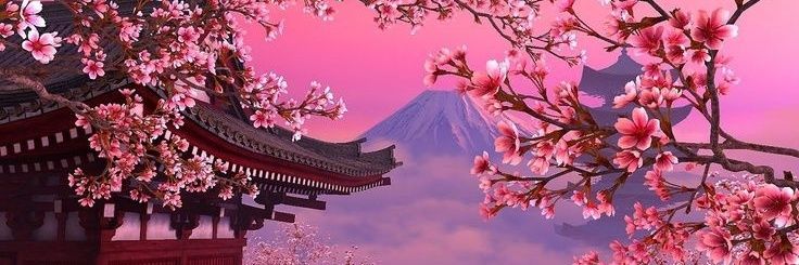 sakura_fox__'s profile banner image