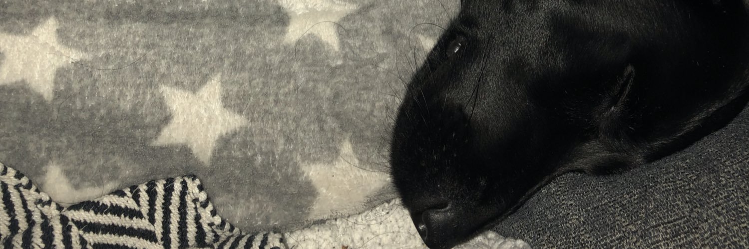 lisajloo1973's profile banner image