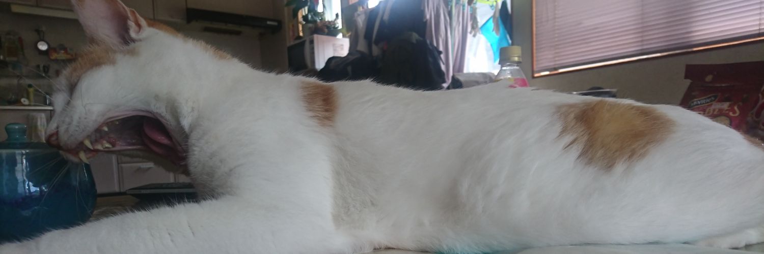 IllllBreakllllI's profile banner image