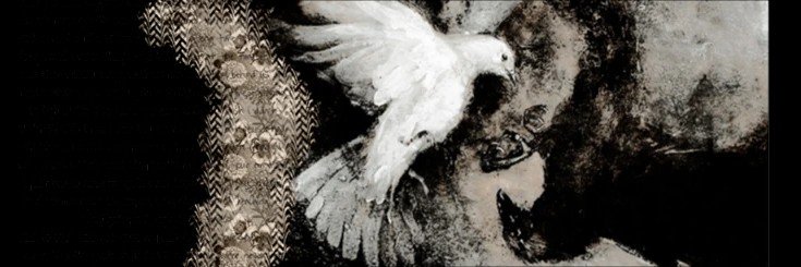stearish's profile banner image