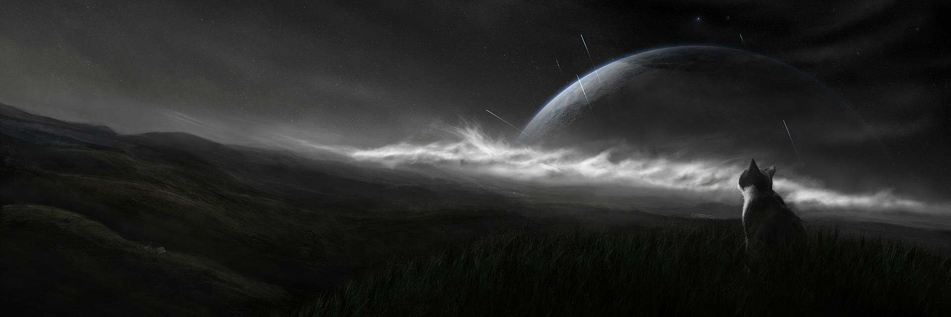 kevinfein's profile banner image