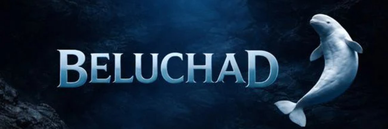 beluchadcto's profile banner image