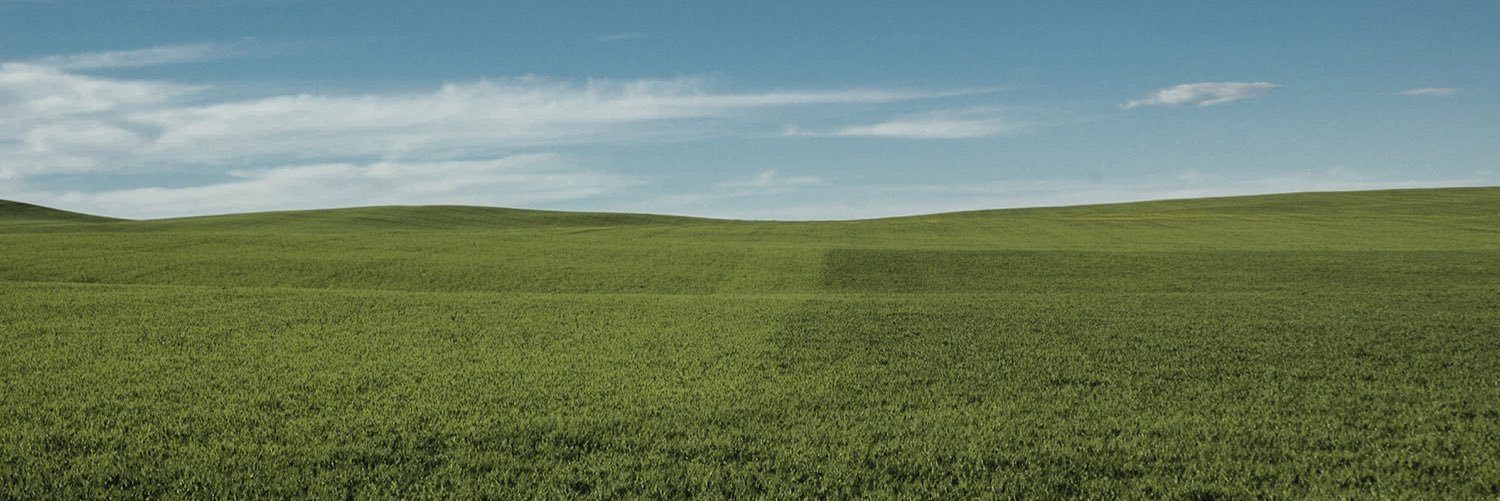 HibrixSoil's profile banner image