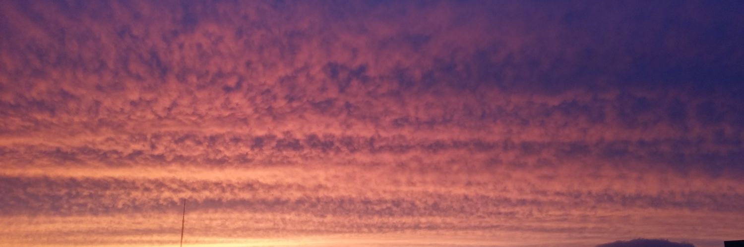 phone552's profile banner image