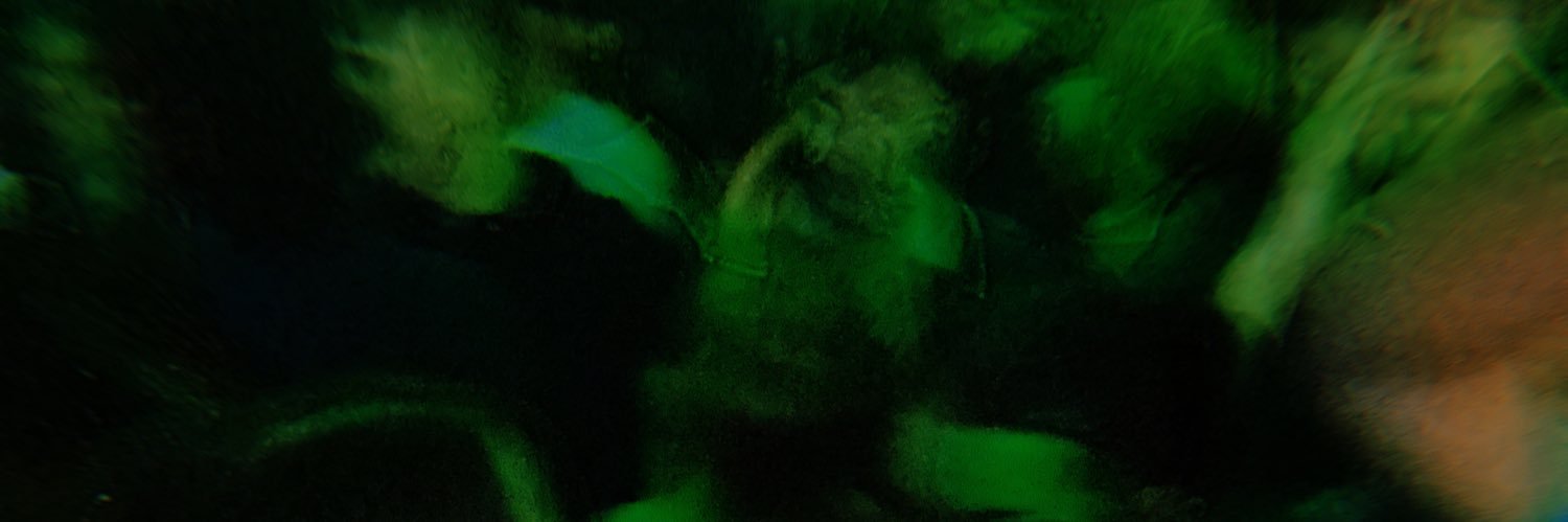matildxa's profile banner image