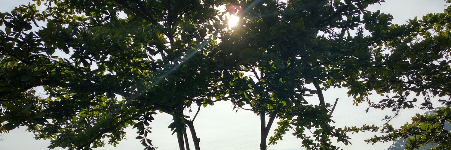 ROBINXZ64's profile banner image