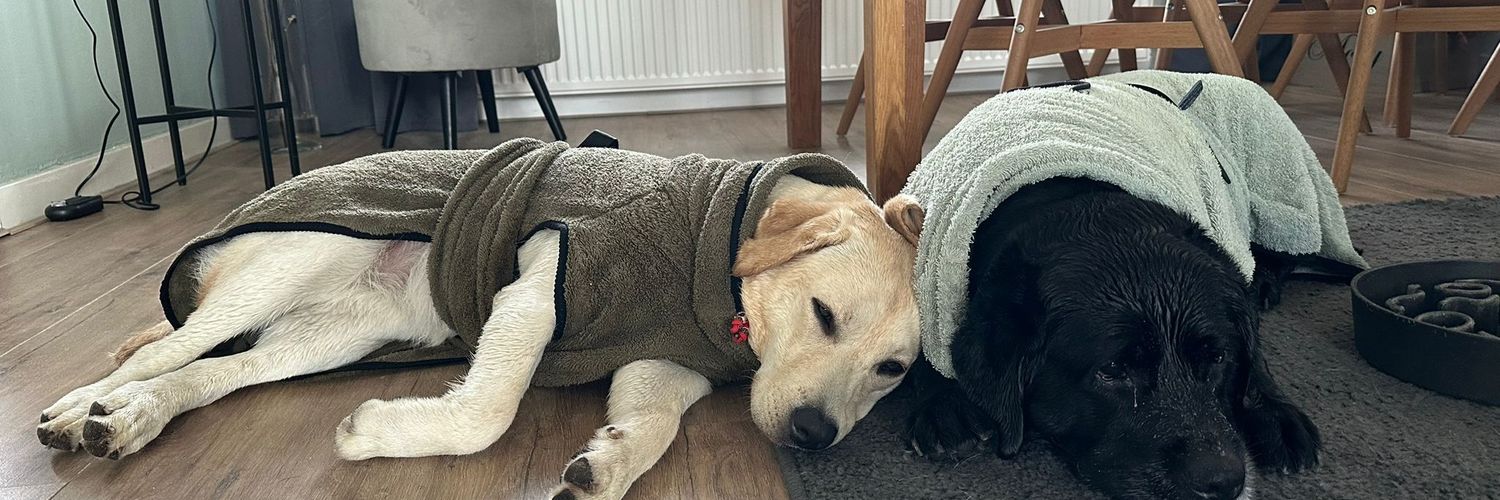 Jacqueline Jansen banner