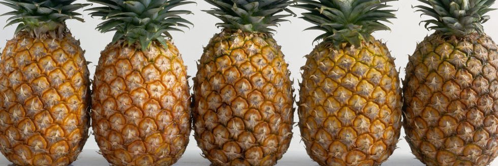 aPineapples's profile banner image