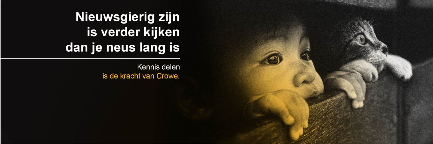 Crowe Foederer banner