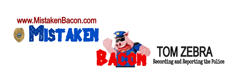 TomMFZebra's profile banner image