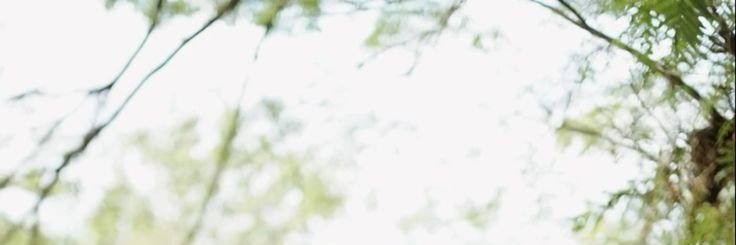 crompress's profile banner image
