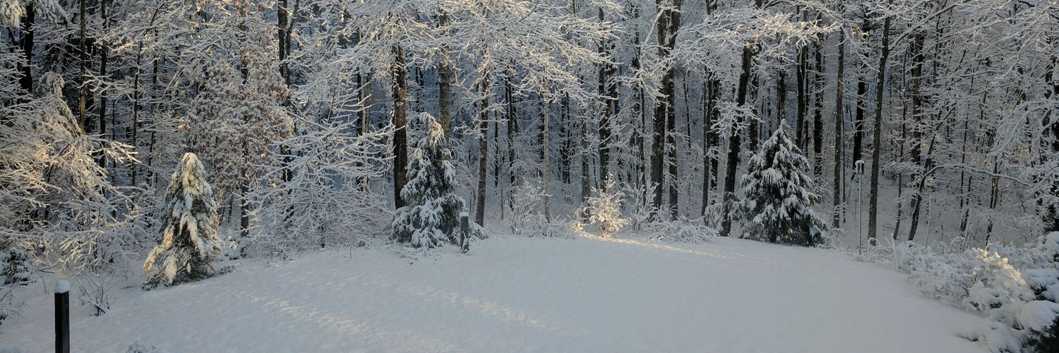 markjohnson_io's profile banner image