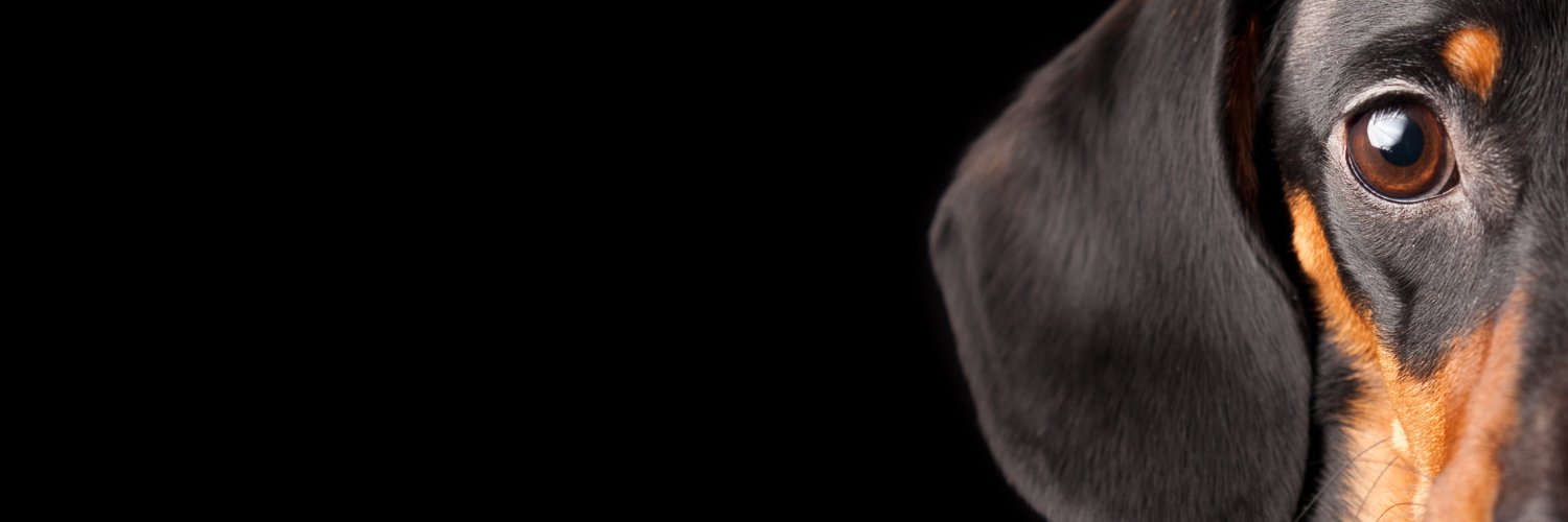 rbrites0905's profile banner image
