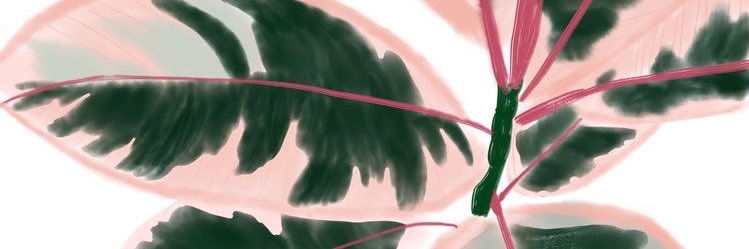VickySastre's profile banner image