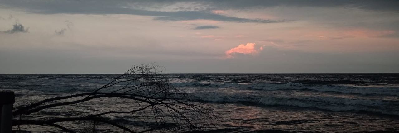 óscar deseo lascurain dupree banner