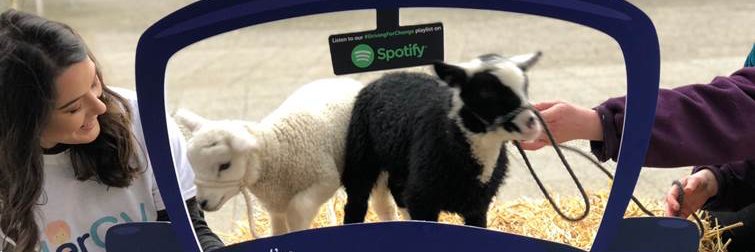 Callie O'Grady banner