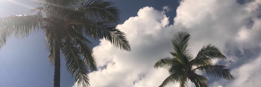 sabbmazza's profile banner image