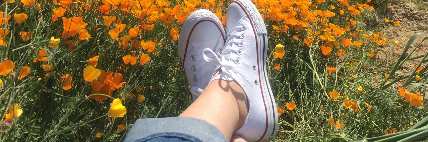 tracydelcampo's profile banner image