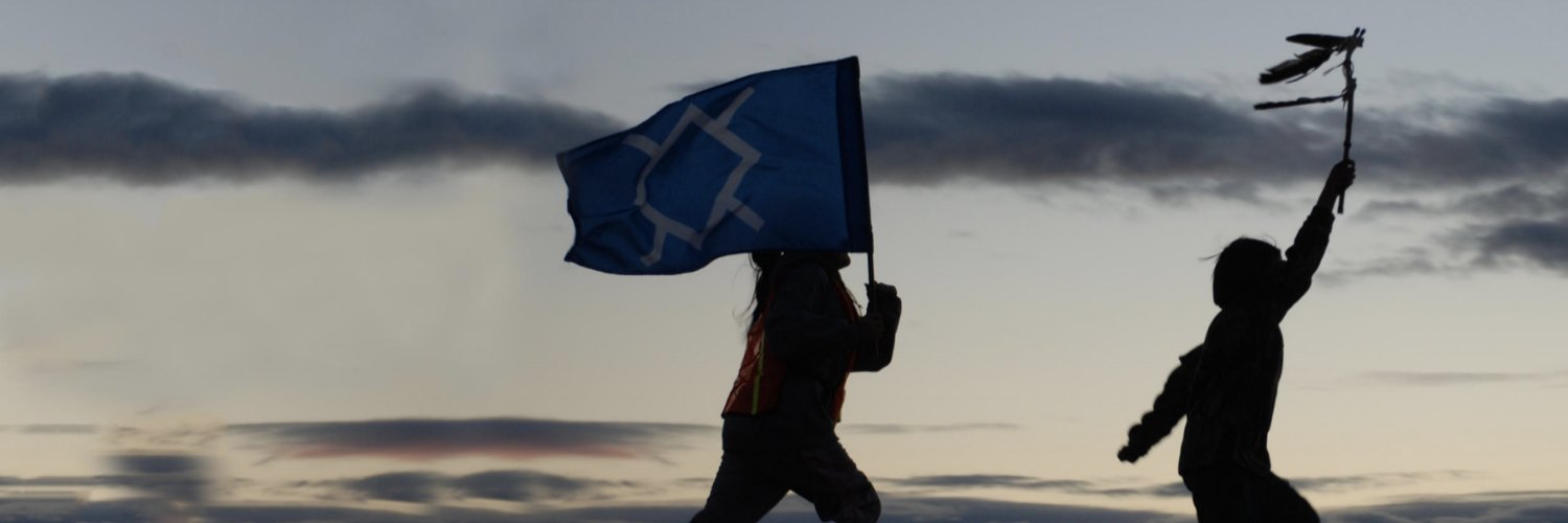 Dr. Dr. Desi (she/her) banner