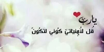 OnnaAwad's profile banner image
