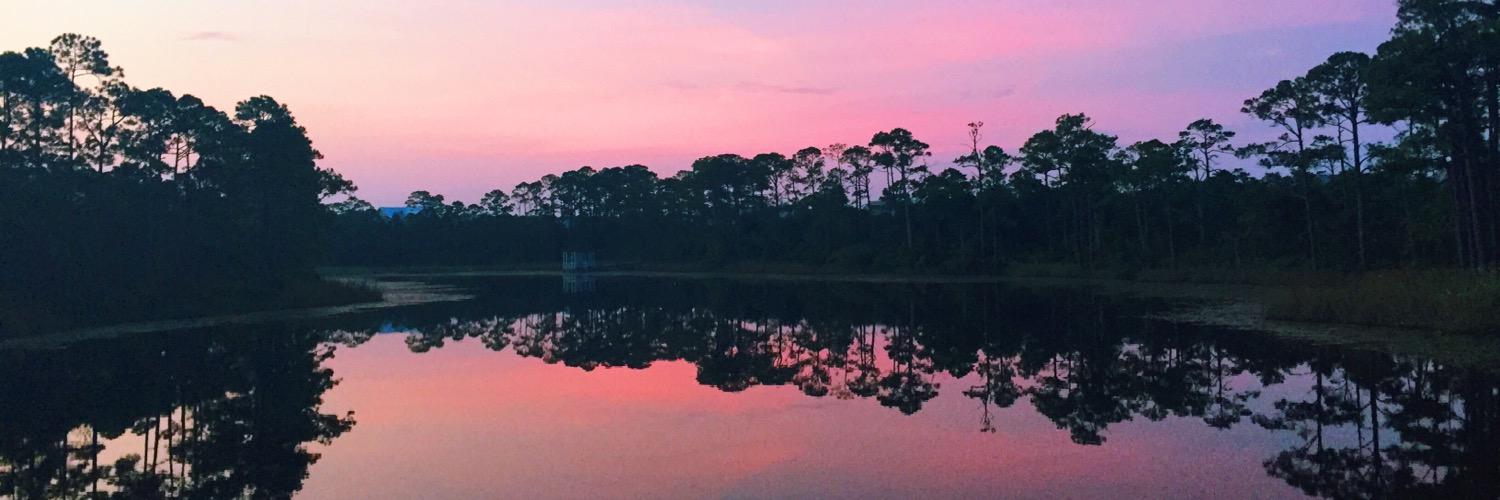 cammmlawrence's profile banner image