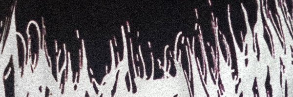 r666ley Profile Banner