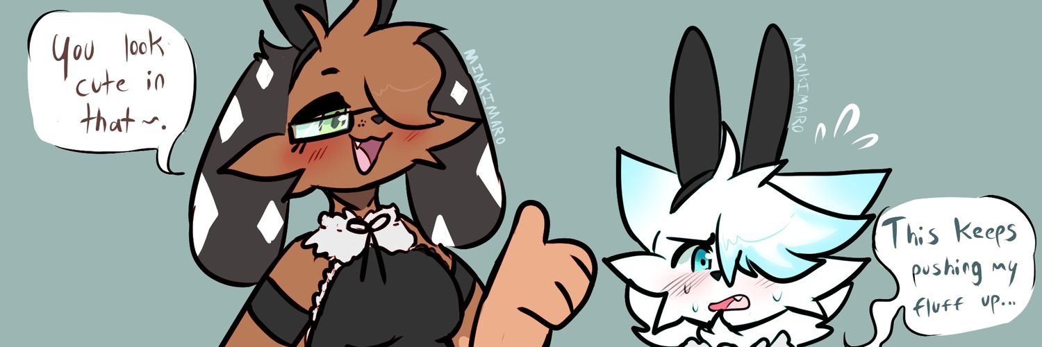CameronSnowfox's profile banner image