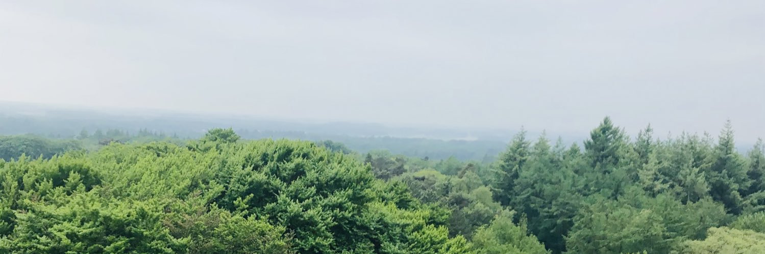 Dennis Sitters banner